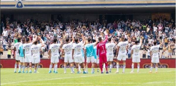 Pumas